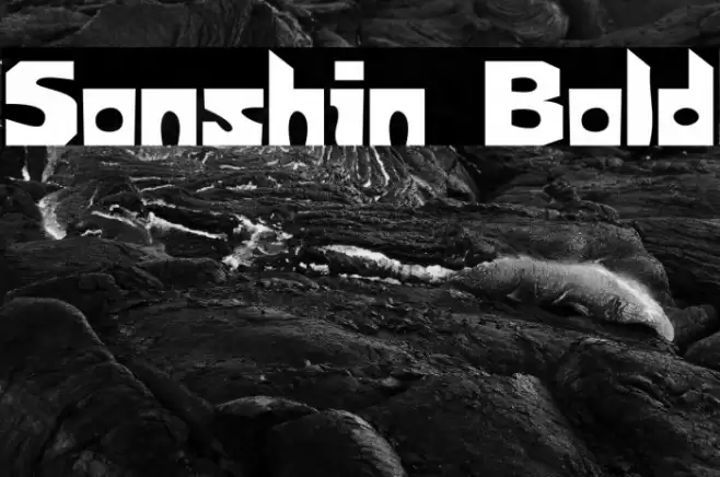 Sonshin Bold Font examples