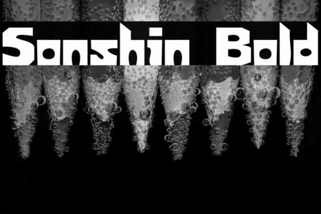 Sonshin Bold Font examples