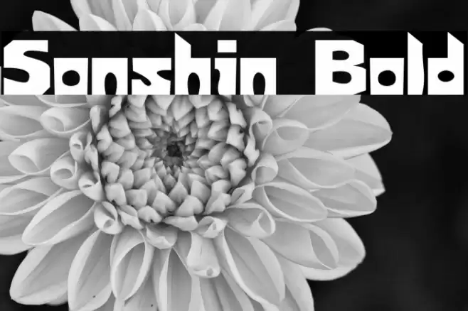 Sonshin Bold Font examples