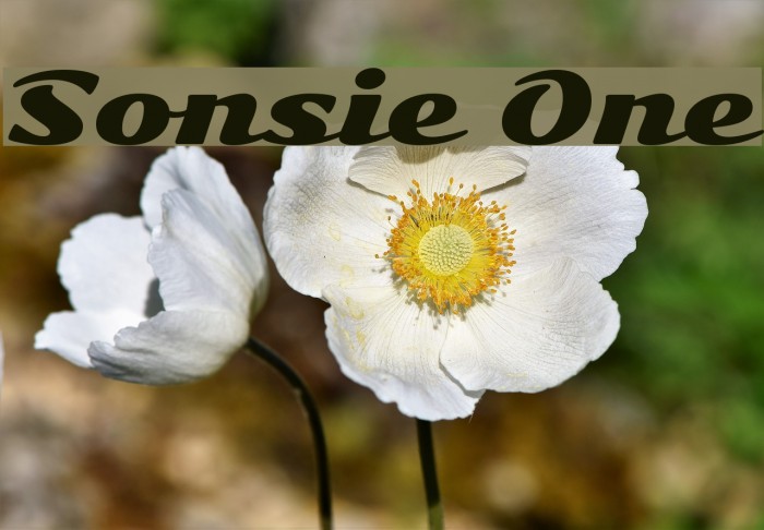 Sonsie One لخطوط تنزيل examples