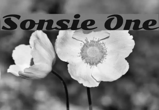 Sonsie One خط examples
