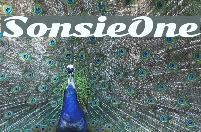 SonsieOne Font examples