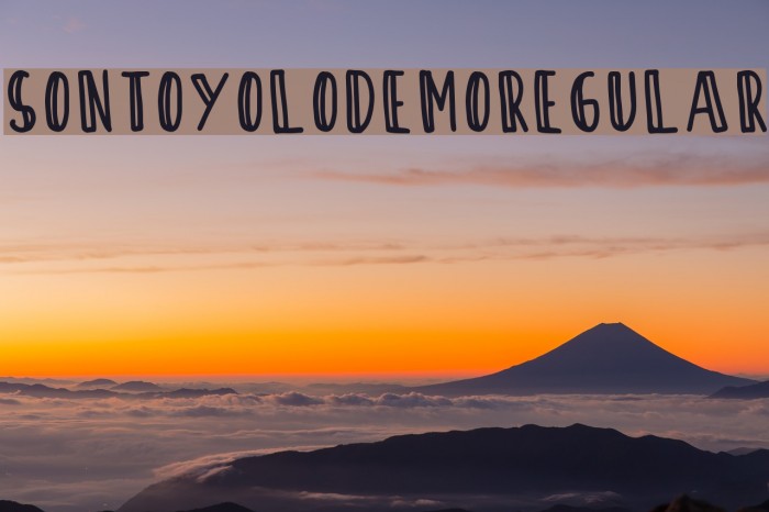 SontOyoloDemoRegular Example 1