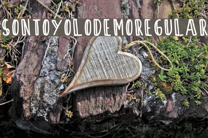 SontOyoloDemoRegular Example 2