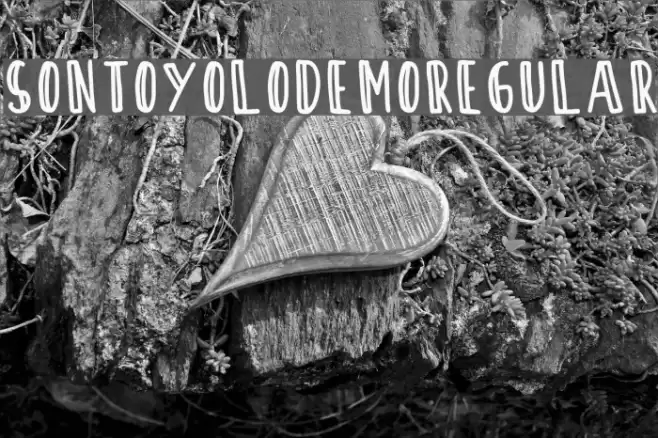 SontOyoloDemoRegular Font examples