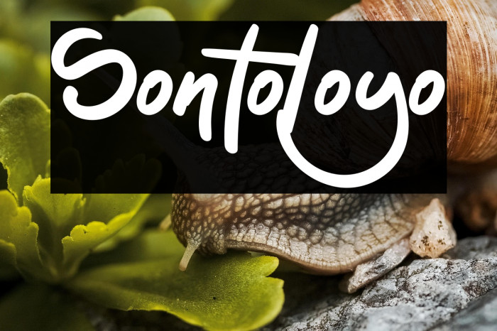 Sontoloyo Example 1