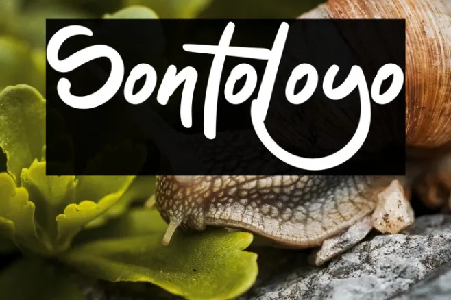Sontoloyo Example 1