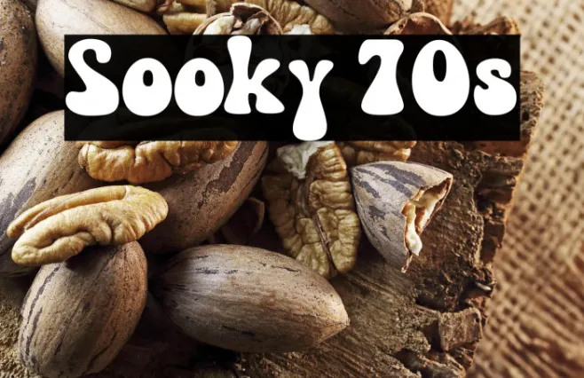 Sooky 70s Example 3