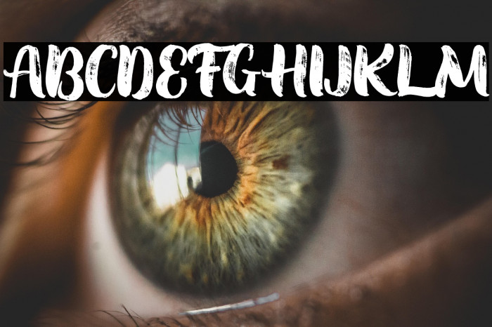 Soondae Font Texture FREE Example 1