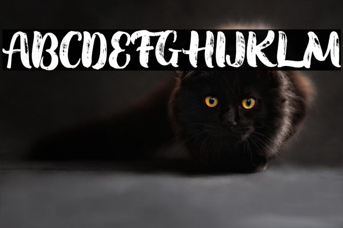 Soondae Font Texture FREE Example 3