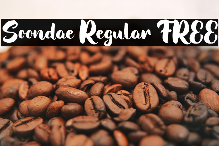 Soondae Regular FREE Example 1