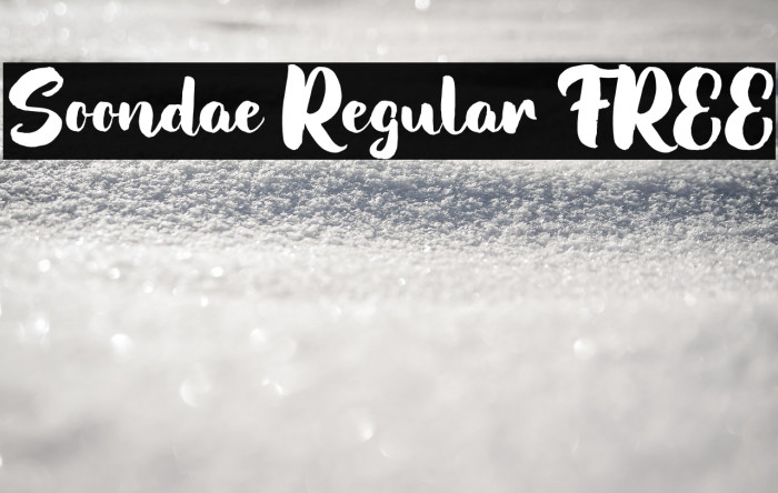 Soondae Regular FREE Example 2