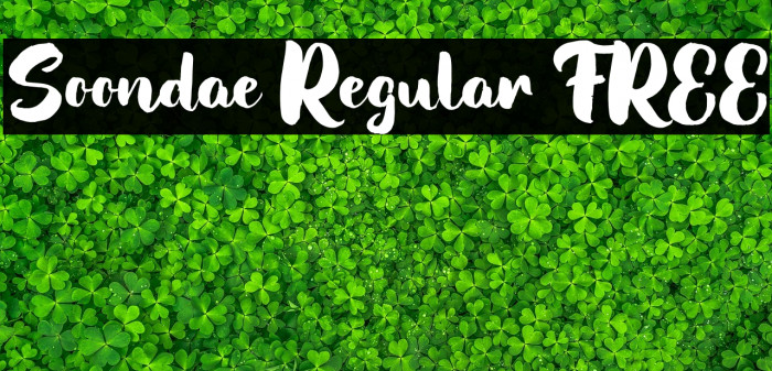 Soondae Regular FREE Example 3