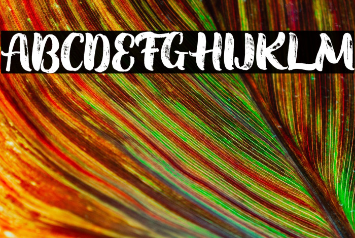 SoondaeFontTextureFREE Example 1