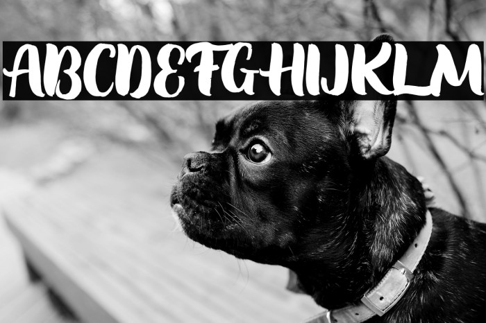 SoondaeRegularFREE Example 2