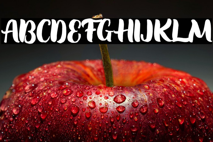 SoondaeRegularFREE Example 3