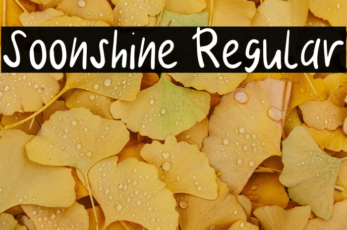 Soonshine Regular Example 3