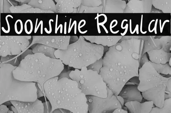 Soonshine Regular Caratteri examples