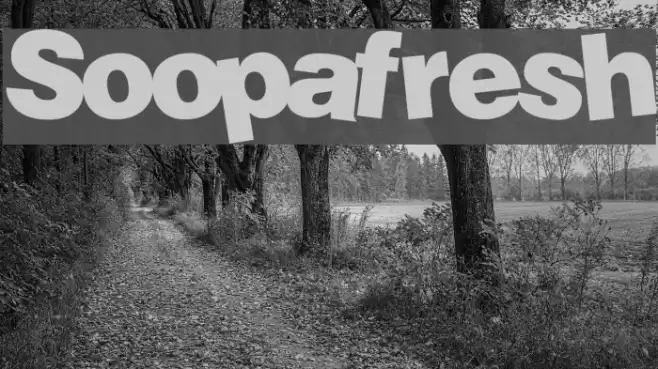 Soopafresh Font examples