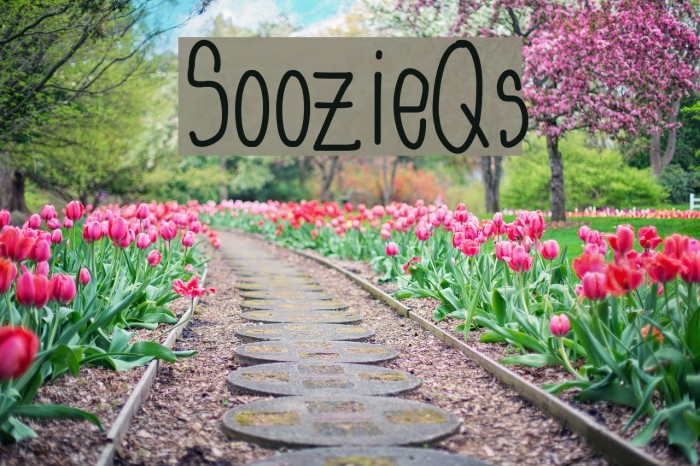 SoozieQs Font examples