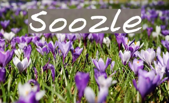 Soozle Example 1