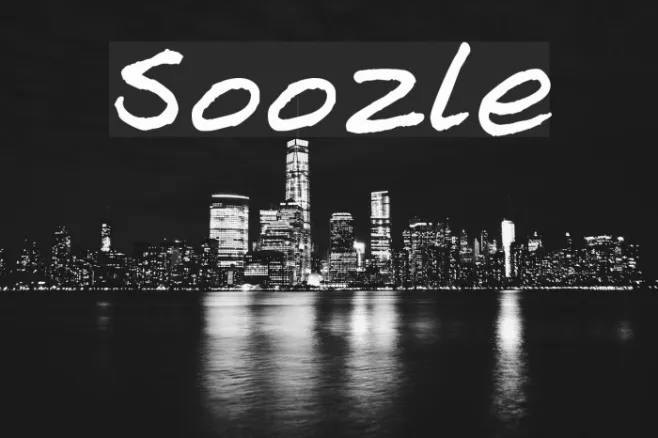 Soozle Example 3