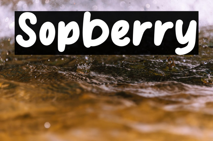 Sopberry Example 1