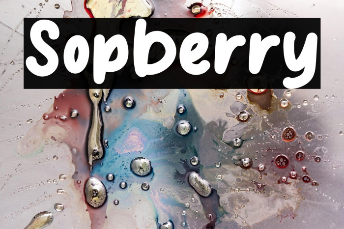 Sopberry Example 2