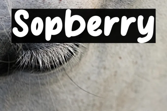 Sopberry Example 3
