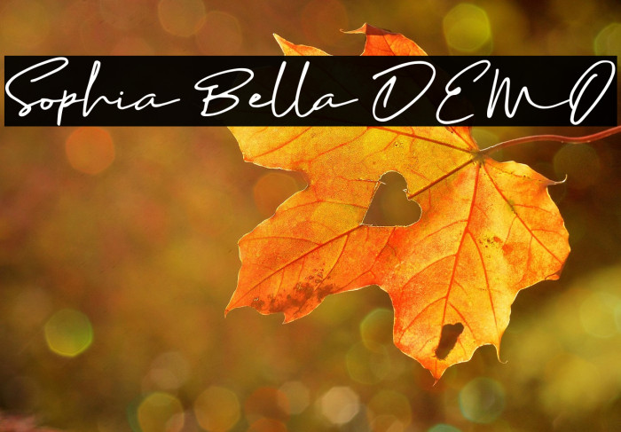Sophia Bella DEMO Example 3