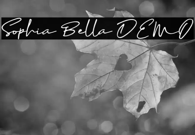 Sophia Bella DEMO Font examples
