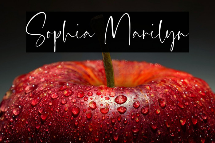 Sophia Marilyn Example 1