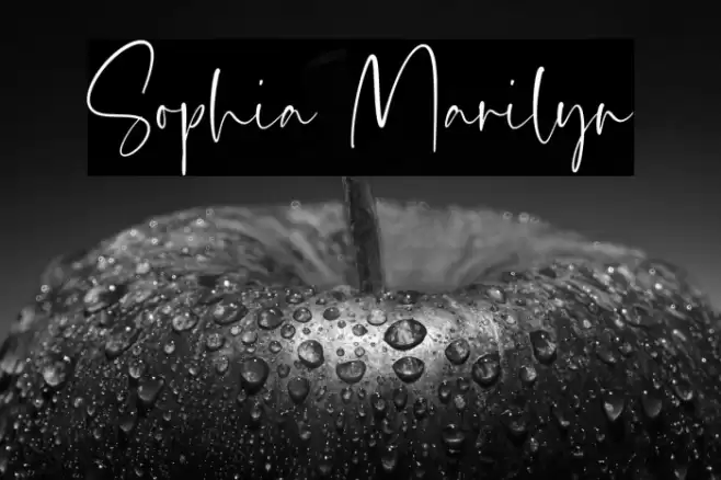 Sophia Marilyn Fonte examples