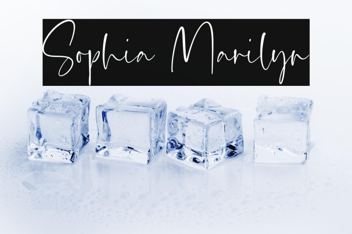 Sophia Marilyn Example 2