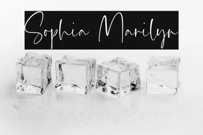 Sophia Marilyn Fonte examples