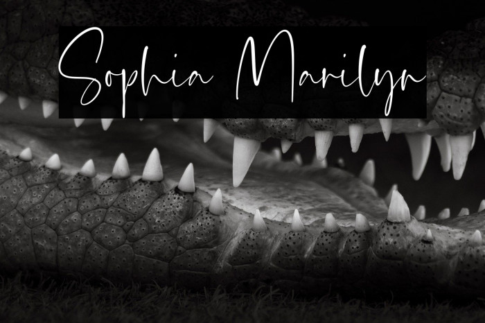 Sophia Marilyn Example 3