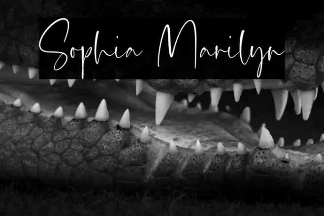 Sophia Marilyn Fonte examples