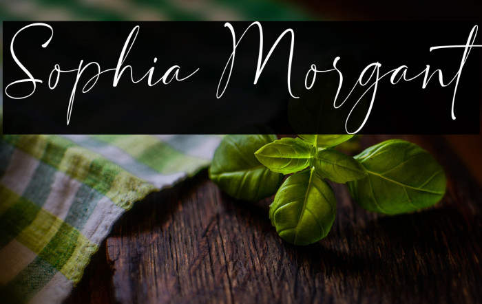 Sophia Morgant Example 1