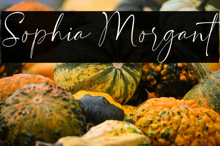 Sophia Morgant Example 2