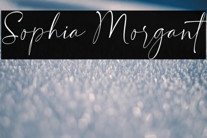 Sophia Morgant Example 3
