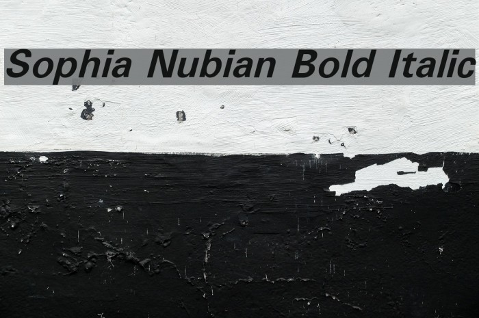 Sophia Nubian Bold Italic Font examples