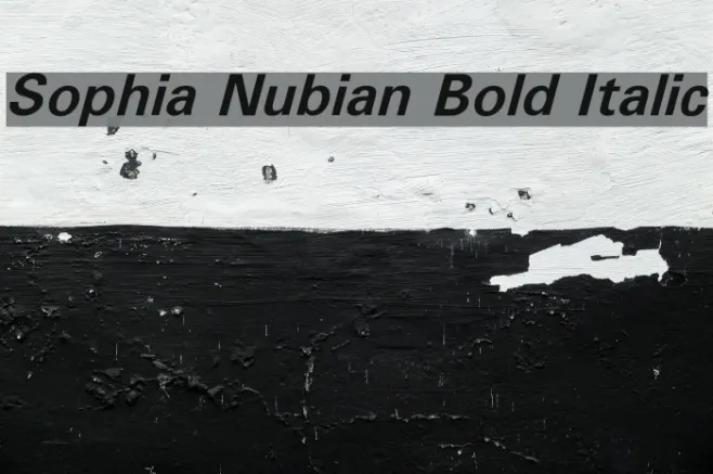 Sophia Nubian Bold Italic Example 1