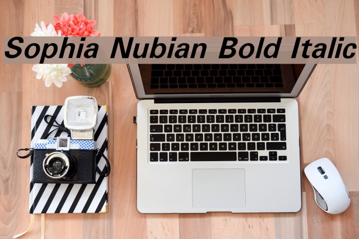 Sophia Nubian Bold Italic Font examples