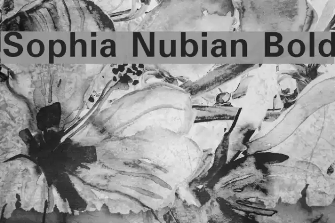 Sophia Nubian Bold Font examples