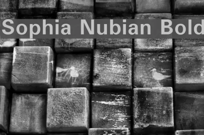 Sophia Nubian Bold Font examples