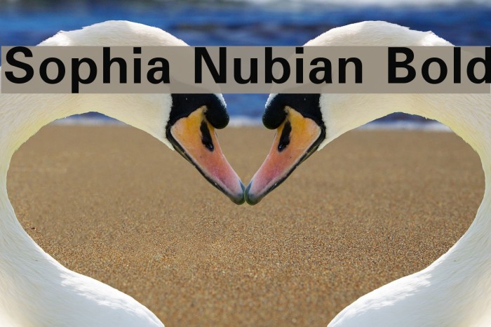 Sophia Nubian Bold Font examples