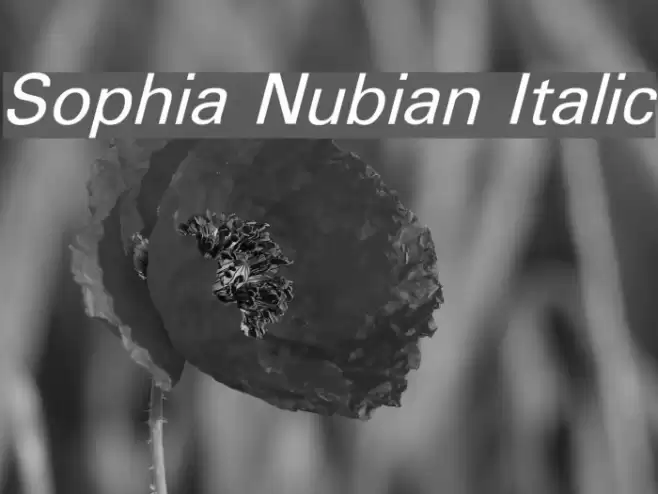 Sophia Nubian Italic Font examples