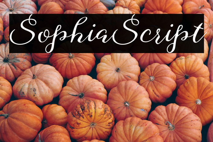 SophiaScript Example 1