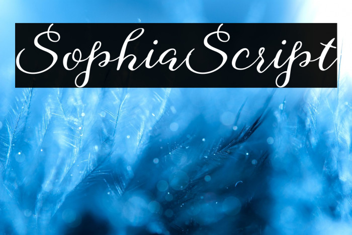 SophiaScript Example 2