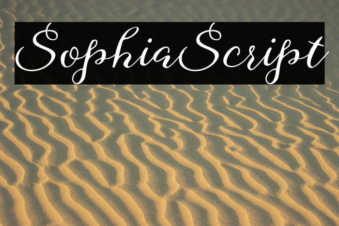 SophiaScript Example 3